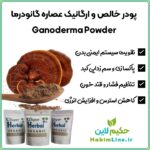 پودر قارچ گانودرما (ریشی ژاپنی)