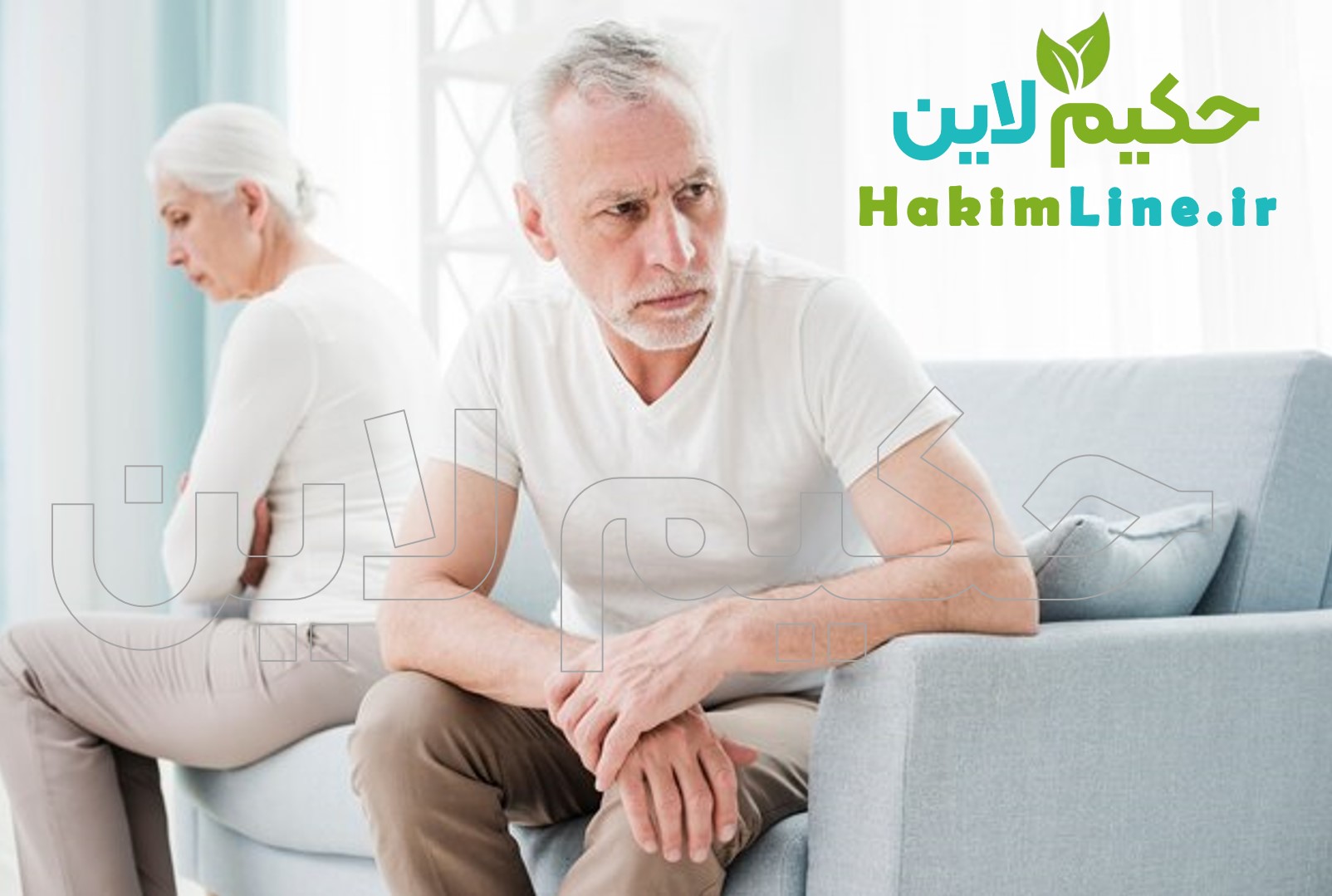 پودر گیاهی سوپراکتیو SuperActive