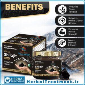 شیره شیلاجیت Shilajit گلد ولنس ۱۰ گرمی