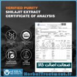 کپسول شیلاجیت Shilajit Capsule هیمالیا Himalaya