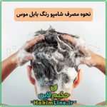 شامپو رنگ بابل موس اورجینال BUBBLE MOUSSE