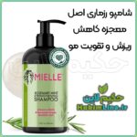 شامپو رزماری و نعناع Mielle