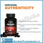کپسول شیلاجیت Shilajit Capsule هیمالیا Himalaya