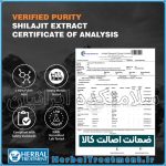 کپسول شیلاجیت Shilajit Capsule هیمالیا Himalaya