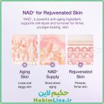 لیفتینگ نامبوزین Numbuzin No.9 NAD Bio Lifting-sil – (ضمانت اصالت کالا) - Image 9