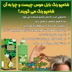 شامپو رنگ بابل موس اورجینال BUBBLE MOUSSE