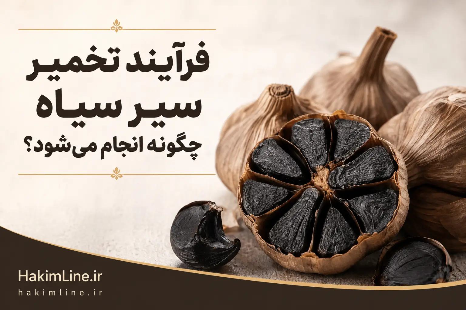 فرآیند تخمیر سیر سیاه چگونه انجام می‌شود؟