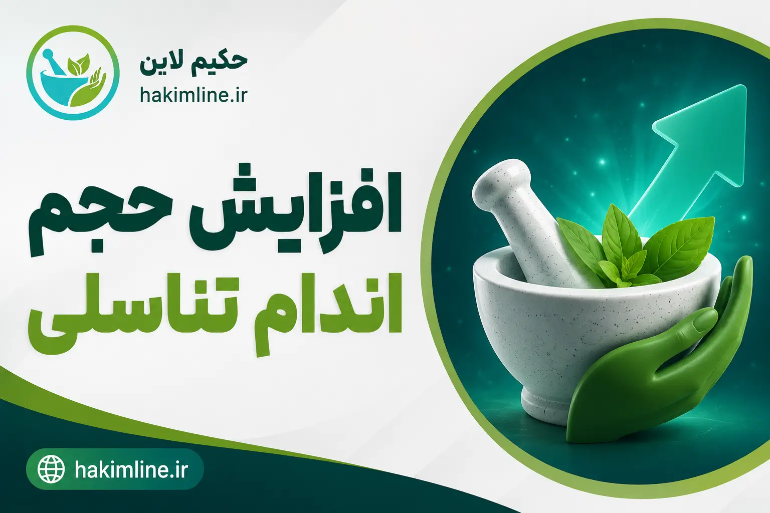 افزایش حجم اندام تناسلی