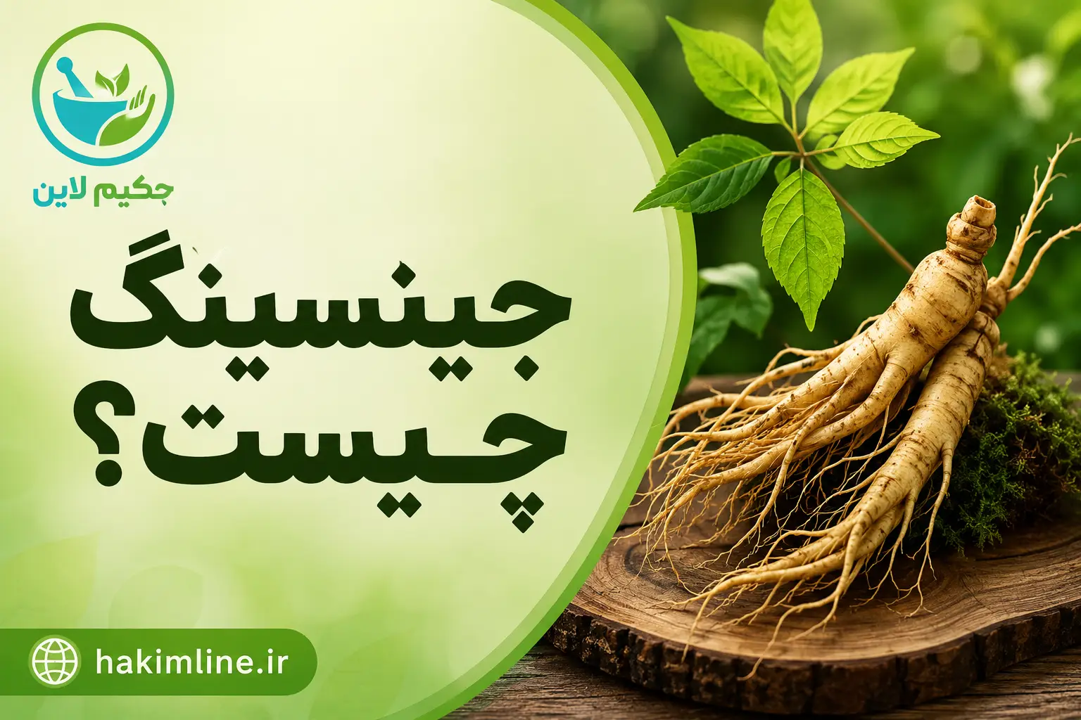 جینسینگ چیست؟