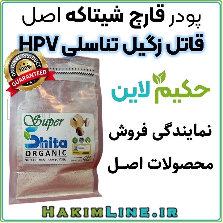 پودر قارچ شیتاکه اصل | تقویت سیستم ایمنی، قاتل زگیل تناسلی HPV